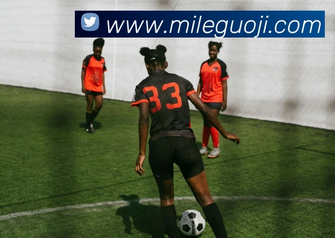 米乐国际服务体系