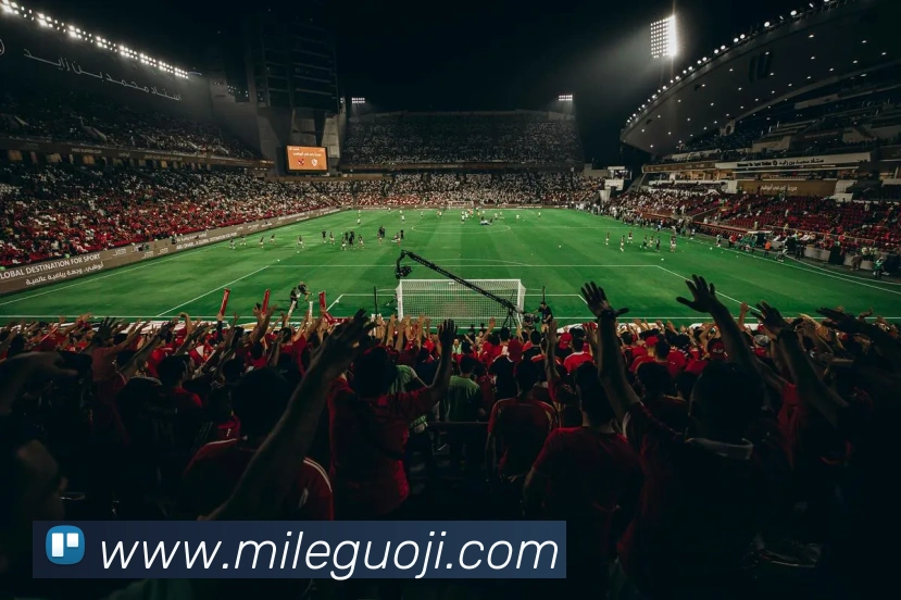 多媒体互动体验